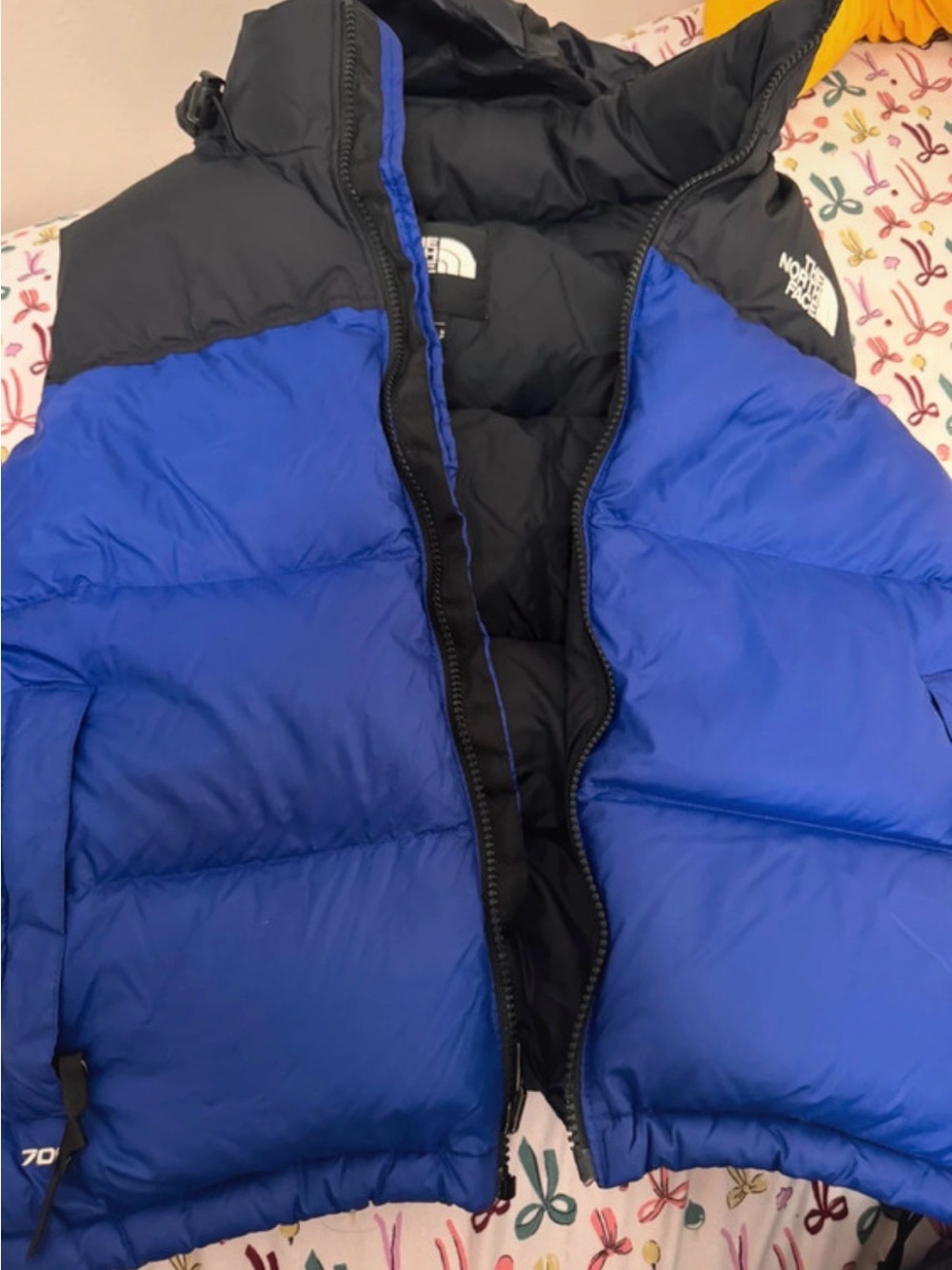 The North Face Hooded Puffer Vest Blue Women Size S